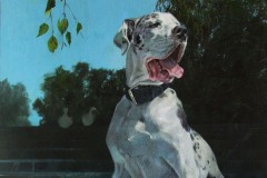 Maximus-oil-on-panel-70-X-55-cm