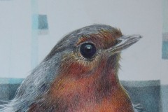 Robin-pencil-10-X1-4-cm